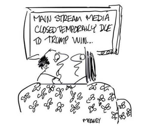 Cartoon: MSM (medium) by John Meaney tagged tv,newspaper,polls