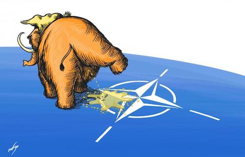 Cartoon: NATOilet (medium) by rodrigo tagged nato,trump,usa,world,election,presidential,alliance,attack,russia,members,aid,rally,campaign,atlantic,president,military,international,politics