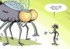 Cartoon: Barack Flyswatterhands (small) by rodrigo tagged barack,obama,white,house,iran,fly,kill