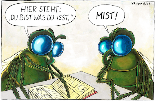 Mistfliegen Mistfliegen