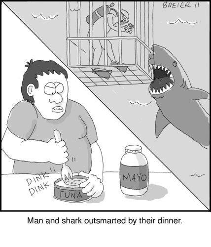 Cartoon: Outsmarted (medium) by noodles tagged shark,cage,tuna,mayo,dinner,stupid,nature