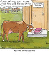 Cartoon: Fate (small) by noodles tagged cows,slaughter,beef,hinduism,sacred,optimist