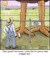 Cartoon: Growth Hormone (small) by noodles tagged growth,hormone,axe,farmer,turkey,thanksgiving