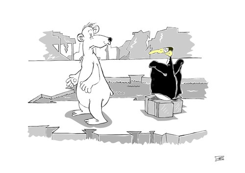 Cartoon: Exhibition (medium) by Pinella tagged nordpol,eisbär,pinguin,südpol,eis,schnee