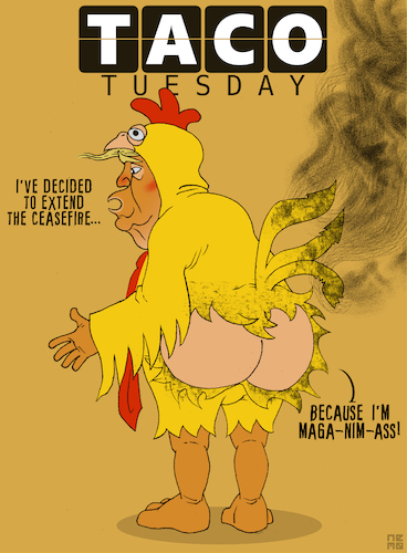 TACO TUESDAY