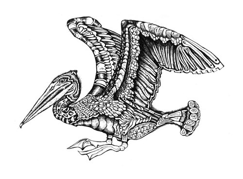 Cartoon: pelikan (medium) by Battlestar tagged pelikan,pelican,animals,animal,tiere