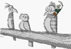 Cartoon: Pirate (small) by julianloa tagged pirate,parrot