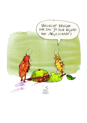 Cartoon: Schaben (medium) by Koppelredder tagged schaben,insekten,ungeziefer,ernährung,birne,essen,straße,kompott,herbst,schaben,insekten,ungeziefer,ernährung,birne,essen,straße,kompott,herbst