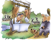 Cartoon: Graugans (small) by HSB-Cartoon tagged kanadagans,fäkalien,graugans,gänse,gänsebraten,badeseen,gewässerverunreinigung,gewässerüberdüngung,ekel,jagd,umwelt,natur,naturschutz,gewässerschutz,umweltpolitik,jäger,wild,vogelschutzrichtlinie