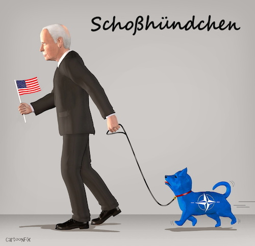 Cartoon: Schoßhündchen (medium) by Cartoonfix tagged nato,usa,biden,schosshündchen