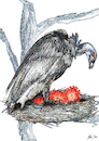 Cartoon: Vogel des Jahres 2021 (small) by jakpet tagged corona,lockdown,pleiten,wirtschaft,ruin,politik,gesundheitswesen,beschränkungen,vogelschutz