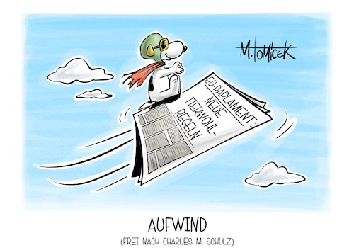 Aufwind