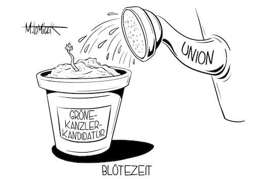 Cartoon: Blütezeit (medium) by Mirco Tomicek tagged grüne,die,grünen,frage,kanzlerfrage,kanzleramt,kanzler,kanzlerkandidat,kanzlerkandidatur,kanzlerin,union,cdu,csu,armin,laschet,markus,söder,blüte,blumen,sonnenblume,umfrage,19,april,bekanntgabe,enthüllung,cartoon,karikatur,pressekarikatur,mirco,tomicek,grüne,die,grünen,frage,kanzlerfrage,kanzleramt,kanzler,kanzlerkandidat,kanzlerkandidatur,kanzlerin,union,cdu,csu,armin,laschet,markus,söder,blüte,blumen,sonnenblume,umfrage,19,april,bekanntgabe,enthüllung,cartoon,karikatur,pressekarikatur,mirco,tomicek