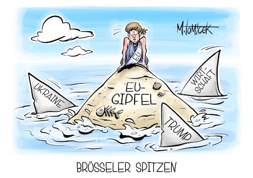 Brüsseler Spitzen