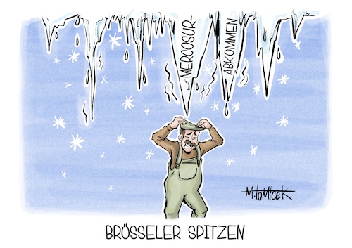 Brüsseler Spitzen