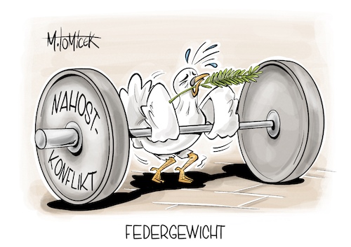 Federgewicht