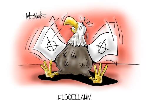 Flügellahm Flügellahm