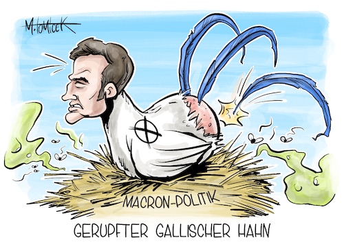 Cartoon: Gerupfter gallischer Hahn (medium) by Mirco Tomicek tagged emmanuel,macron,präsident,frankreich,französische,parlamentswahl,parlament,marine,le,pen,wahlen,gewählt,wahl,klatsche,mehrheit,partei,rn,wahlschlappe,schlappe,gallischer,hahn,karikatur,pressekarikatur,cartoon,mirco,tomicek,emmanuel,macron,präsident,frankreich,französische,parlamentswahl,parlament,marine,le,pen,wahlen,gewählt,wahl,klatsche,mehrheit,partei,rn,wahlschlappe,schlappe,gallischer,hahn,karikatur,pressekarikatur,cartoon,mirco,tomicek