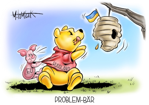 Problem-Bär