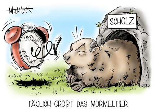 Täglich grüßt das Murmeltier