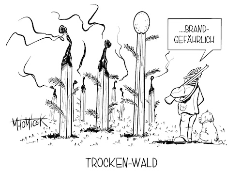 Trocken-Wald