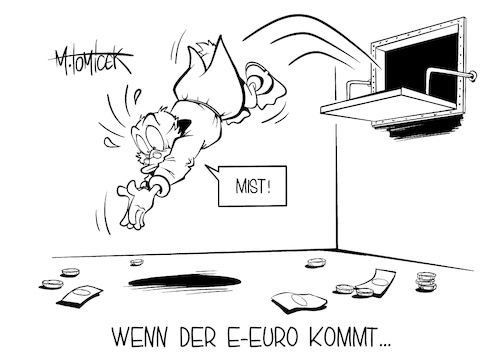 Wenn der E-Euro kommt...