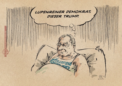Cartoon: Demokratieorakel Gerhard S. (medium) by Guido Kuehn tagged trump,usa,trump,usa
