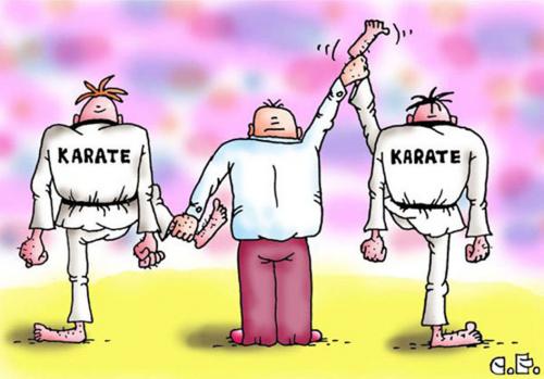 Cartoon: Karate (medium) by Sergey Ermilov tagged karate