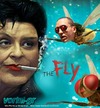 Cartoon: Kanelli Liana and the Fly (small) by takis vorini tagged vorini