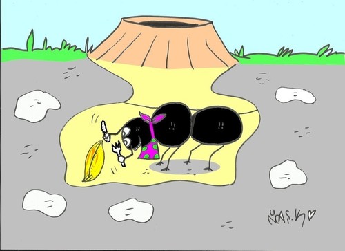 Cartoon: ant and wheat (medium) by yasar kemal turan tagged love,ant,wheat