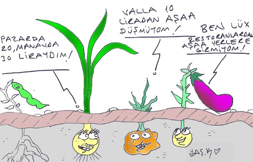 Cartoon: expensive (medium) by yasar kemal turan tagged expensive