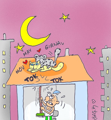 Cartoon: roof lovers (medium) by yasar kemal turan tagged roof,lovers