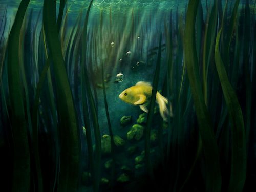 Cartoon: Litte yellow fish (medium) by alesza tagged fish,yellow,digital,painting,illustration,procreate,ipadart,artwork