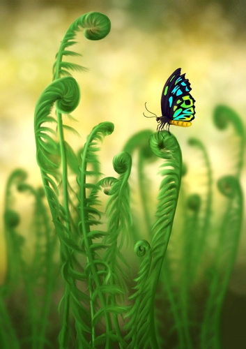 Cartoon: Schmetterling - Butterfly (medium) by alesza tagged nature,fern,farn,natur,schmetterling,butterfly