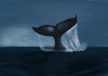 Cartoon: Whale (small) by alesza tagged whale wal flosse sea meer ocean blue
