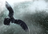 Cartoon: Winter is coming (small) by alesza tagged winter cold stormy eagle flying snow
