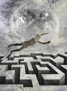 Cartoon: Escapee (small) by Zoran Spasojevic tagged escapee,serbia,escape,kragujevac,emailart,paske,spasojevic,zoran,graffit,graphics,digital