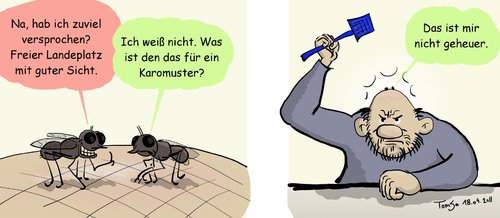 Cartoon: Landeplatz (medium) by TomSe tagged lästig,landeplatz,glatze,fliegenklatsche,fliegen,fliege