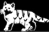 Cartoon: no title (small) by chakhirov tagged cat