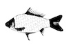 Cartoon: no title (small) by chakhirov tagged fish