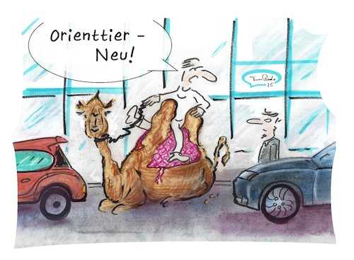 Cartoon: Dromedar oder Kamel (medium) by TomPauLeser tagged kamel,dromedar,trampeltier,orient,orienttier,orientieren,schlapplachsachen,satire,wüste,auto,tompaule,fahrzeug,energiesparen,emissionsfrei