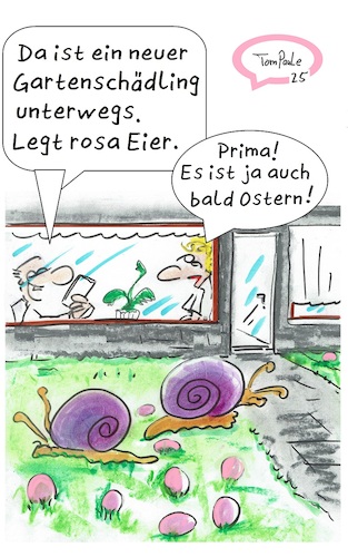 Cartoon: Lila Apfelschnecke Schädling (medium) by TomPauLeser tagged lila,apfelschnecke,schädling,ostern,ostereier,rosa,eier,pinke,tropisch,subtropische,familie,süßwasserschnecke,süßwasser,ampullariidae,endemisch,aquarientier,apodemisch,biologie,endemie,endem