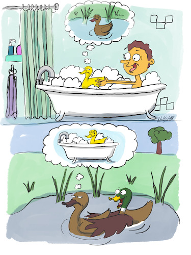 Cartoon: Anderswo ist auch Scheiße (medium) by SandraNabbefeld tagged cartoon,cartoonist,comic,comicstyle,illustration,pond,bath,drawing,duck,rubberduck,humor,ente,quietscheente,badewanne,see,weiher,tümpel,baden,entspannung,kind,spielen,ruhe,keineruhe,schaumbad,sandranabbefeld,nabbefeld