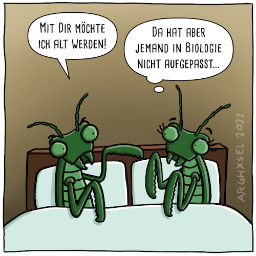 Cartoon: Gottesanbeterin (medium) by Arghxsel tagged insekten,fliegen,käfer,wespen,bienen,hornissen,nest,eier,larven,imago,puppe,verpuppen,schmetterling,gottesanbeterin,fangschrecken,heuschrecken,killer,predator,insekten,fliegen,käfer,wespen,bienen,hornissen,nest,eier,larven,imago,puppe,verpuppen,schmetterling,gottesanbeterin,fangschrecken,heuschrecken,killer,predator