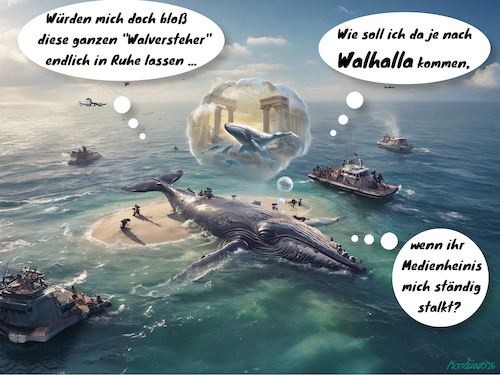 Cartoon: Walhalla (medium) by MorituruS tagged ostsee,buckelwal,timmy,hope,ostseeinsel,poel,gestrandet,wal,sandbank,untiefe,bucht,insel,rettungsaktion,drohnenbilder,medienhype,medienrummel,hysterie,sentimentalität,luftkissen,peilsender,cartoon,karikatur,moriturus