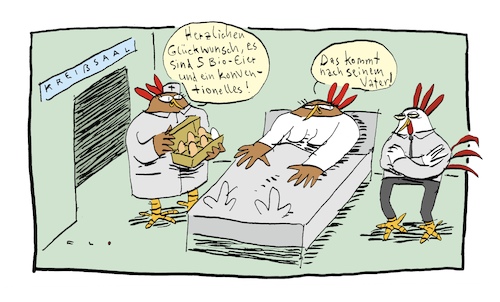 Cartoon: Koventionell (medium) by F L O tagged hühner,huhn,ei,eier,bio,herkömmlich,konventionell,hahn,herzlichen,glückwunsch,geburt,kreißsaal,schwester,schwanger,vater,mutter,kind,baby,hühner,huhn,ei,eier,bio,herkömmlich,konventionell,hahn,herzlichen,glückwunsch,geburt,kreißsaal,schwester,schwanger,vater,mutter,kind,baby