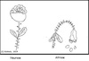 Cartoon: Neurose - Altrose (small) by Sven1978 tagged neurose,altrose,psyche,seele,leiden,wortspiel,sprache