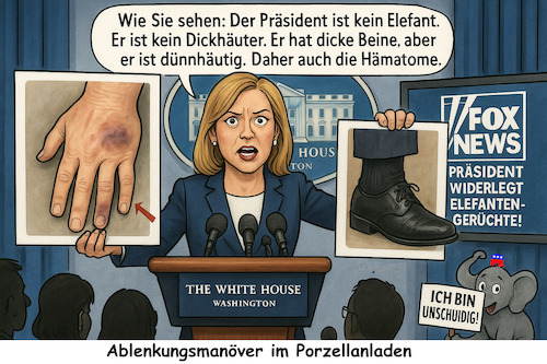 Cartoon: Sensible Themen (medium) by ArtyFicial tagged usa,trump,gesundheit,hämatome,blaue,flecken,venöse,insuffizienz,dünnhäutig,dünne,haut,dicke,beine,elefant,porzellanladen,elephant,in,the,room,republikaner,maskottchen,icon