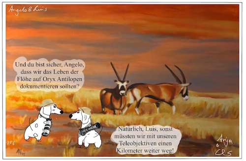 Cartoon: Oryx (medium) by ChrisHolt tagged hightech,dackelsicht