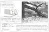 Cartoon: Scouting (small) by ChrisHolt tagged gender,dackelsicht